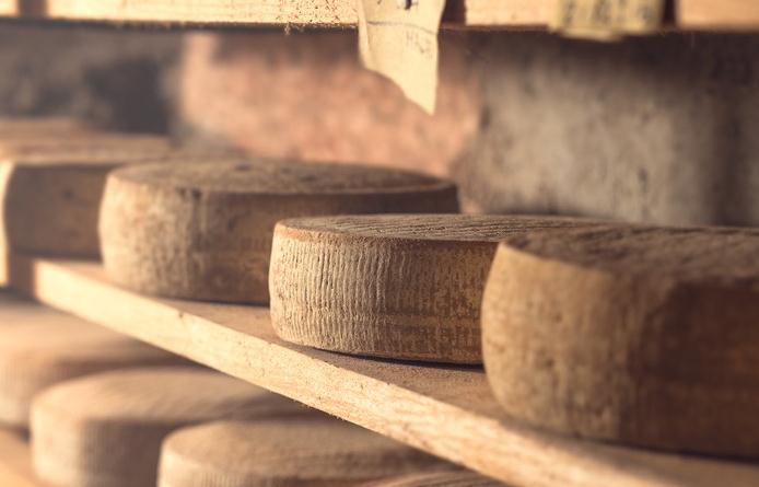 cheese-during-the-aging-process