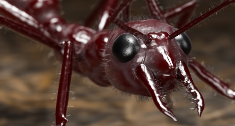 3d rendering extreme close-up macro shot of the ant face