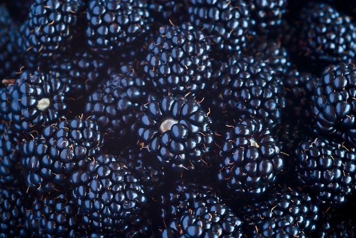 A zoomed in picture of blackberries