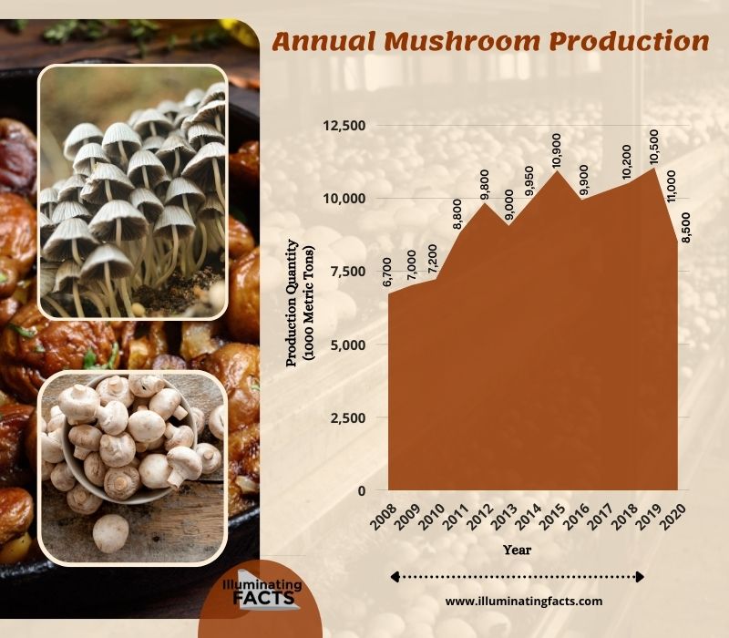 Annual Mushroom Production