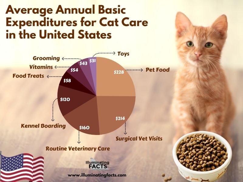 Average Annual Basic Expenditures for Cat Care in the United States