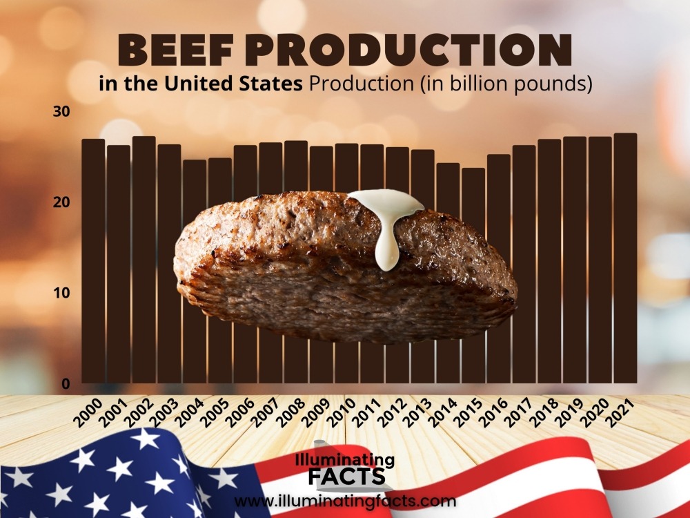 Beef production in the united states production