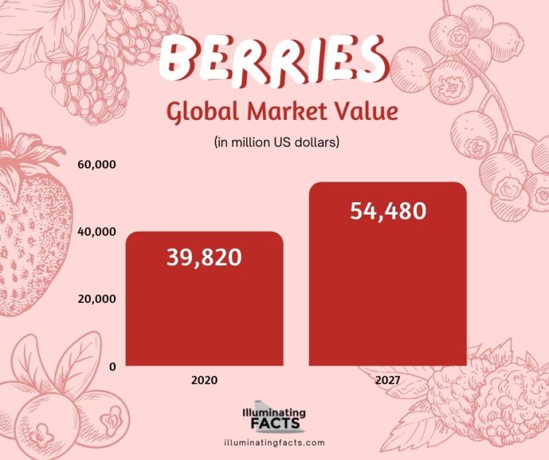 Berries Global Market Value