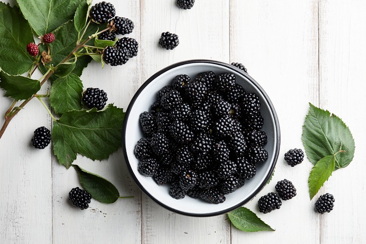 Bowl of fresh blackberries