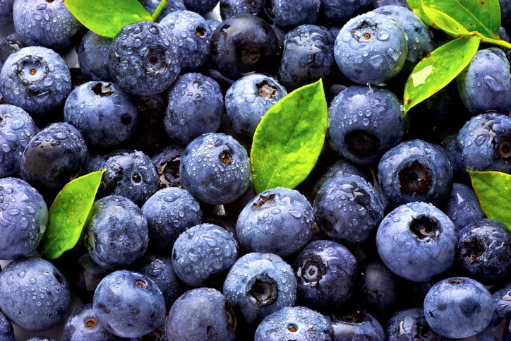 Bunch of blueberries