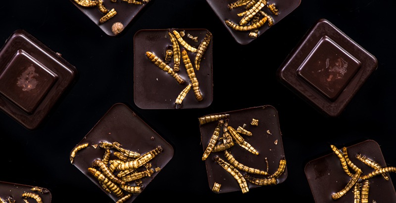 Chocolate with edible worms, culinary trends