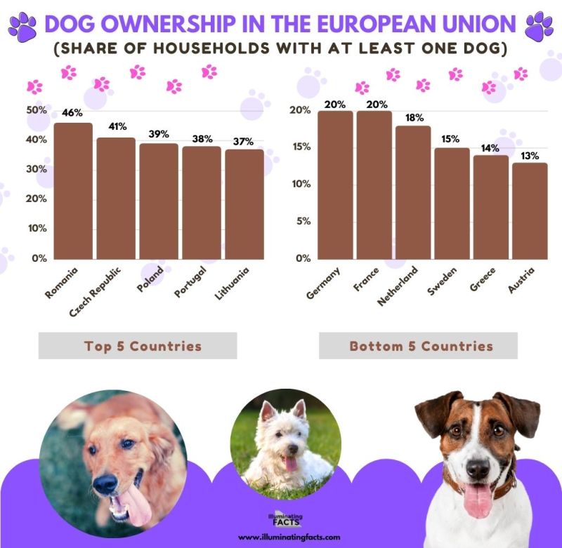 Dog Ownership in the European Union