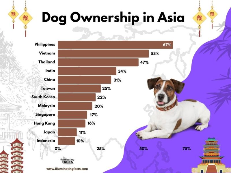 Dog Ownership in_Asia