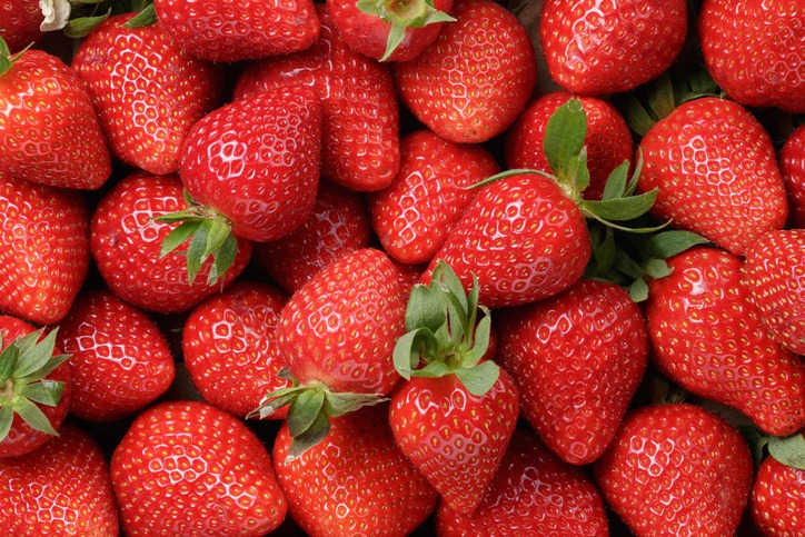 Freshly harvested strawberries