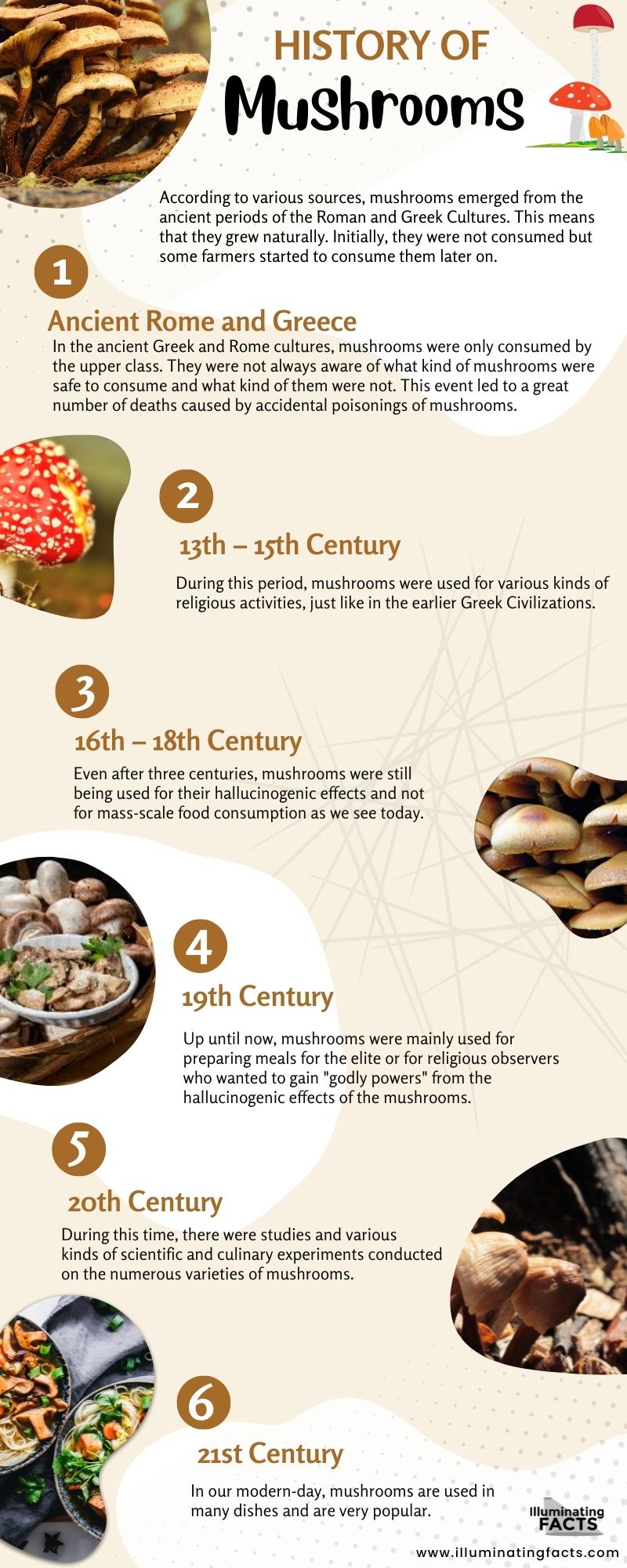 History of Mushrooms