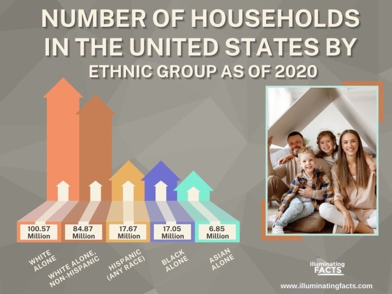 NUMBER OF HOUSEHOLDS IN THE UNITED STATES BY ETHNIC GROUP AS OF 2020
