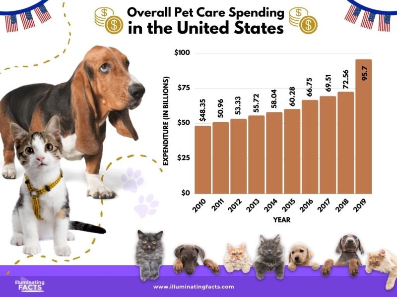 Overall Pet Care Spending in the United States