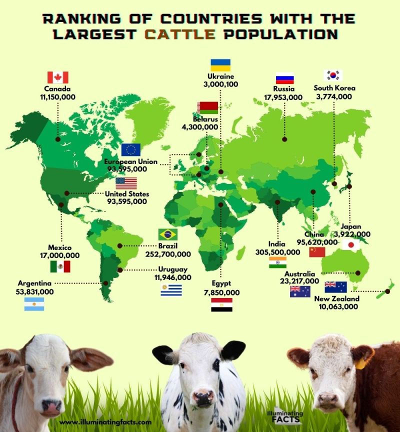 Ranking of Countries with the Largest Cattle Population
