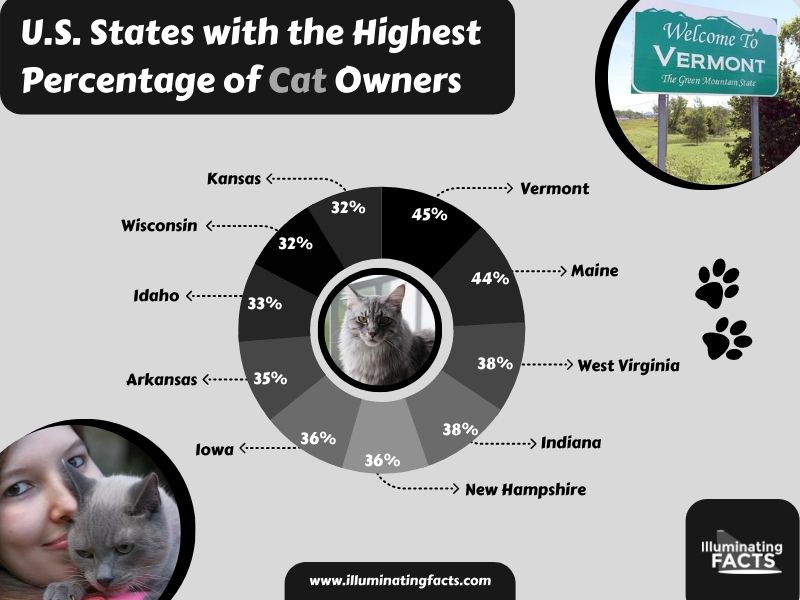 States with the Highest Percentage of Cat Owners