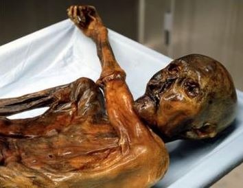 The mummy of Otzi where two types of mushrooms were found