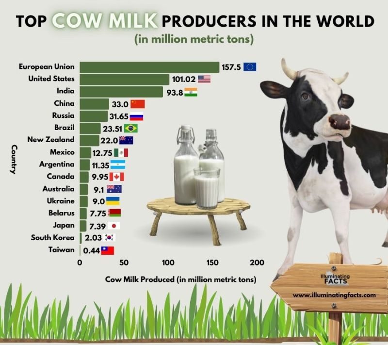 Top Cow Milk Producers in the World