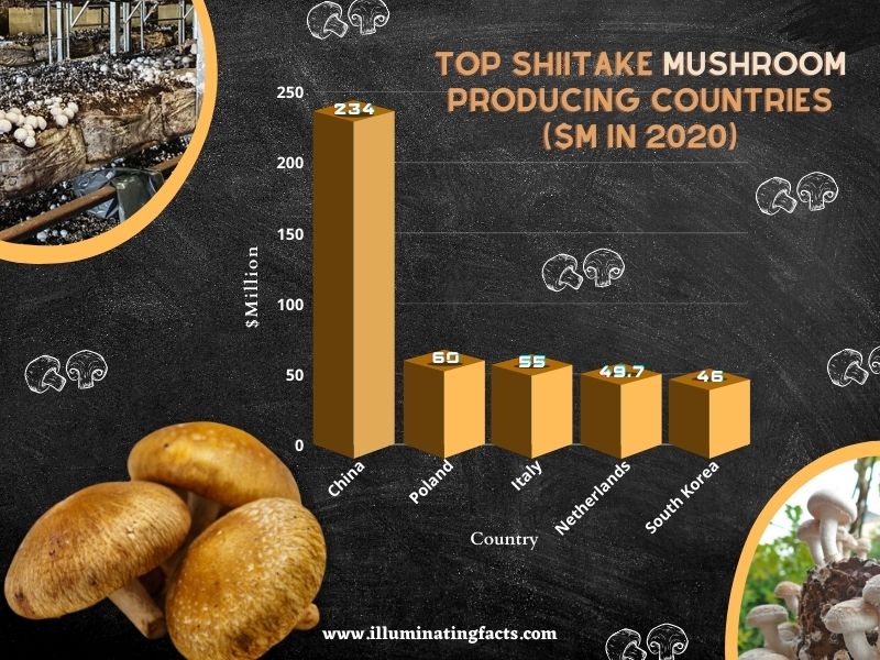 Top Shiitake Mushroom Producing Countries ($M in 2020)