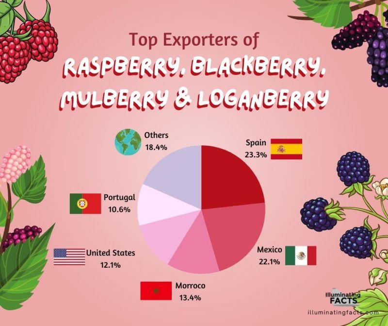 Top exporters of berries