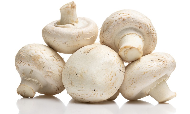 White_Button Mushrooms