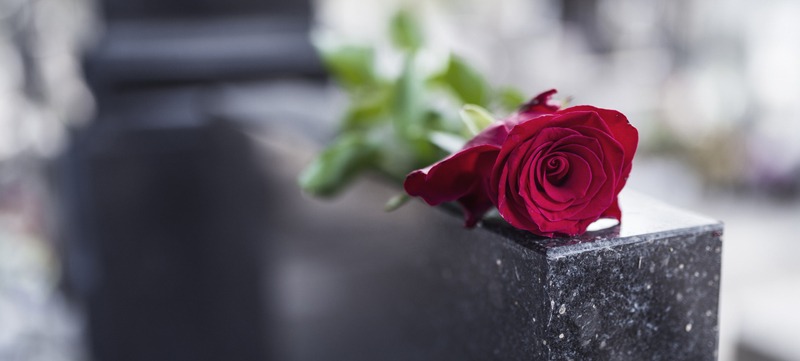 rose on a tombstone
