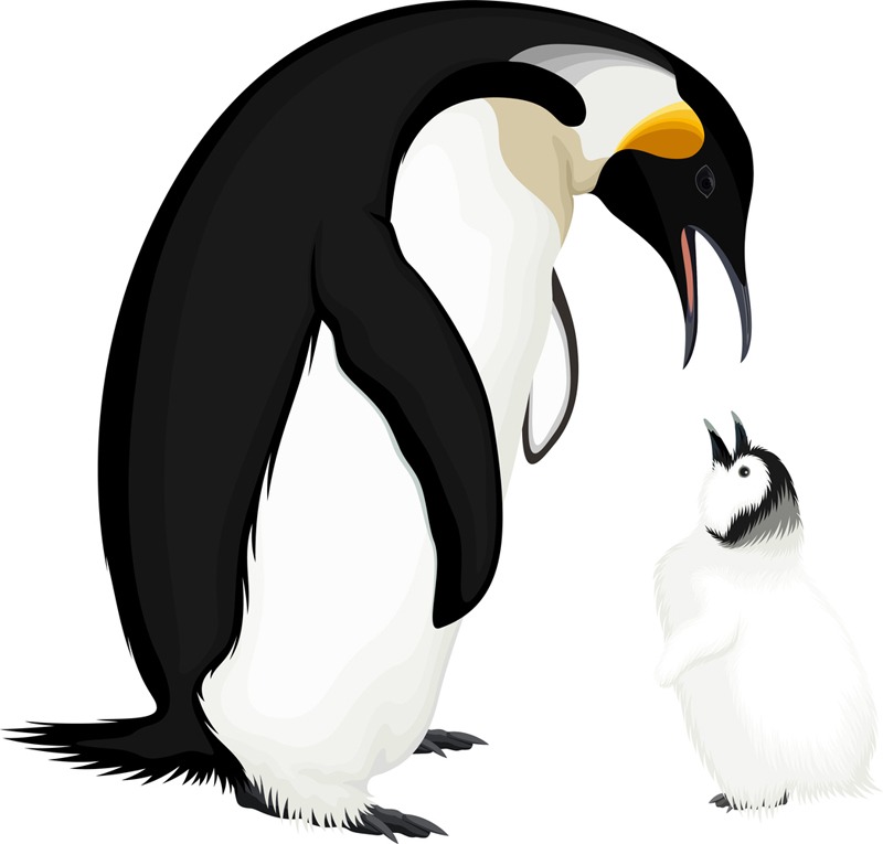 An image of Emperor penguin