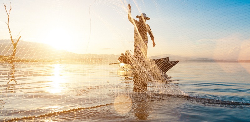 An image of a Fish-net