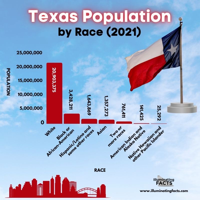 Texas Population by Race (2021)