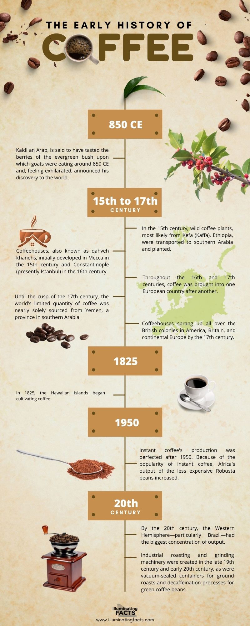 The Early History of Coffee Infographic
