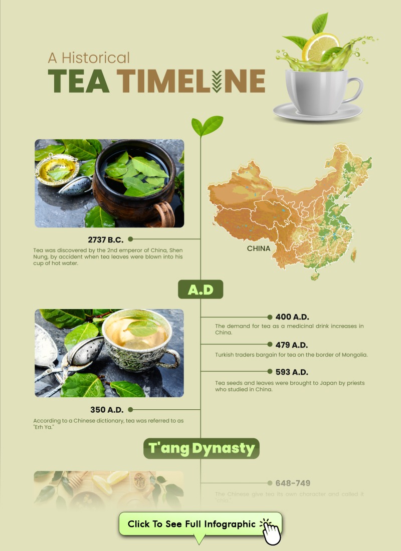 A Historical Tea Timeline Infographic
