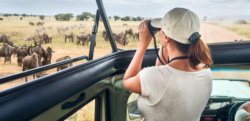 a tourist in a safari in Africa