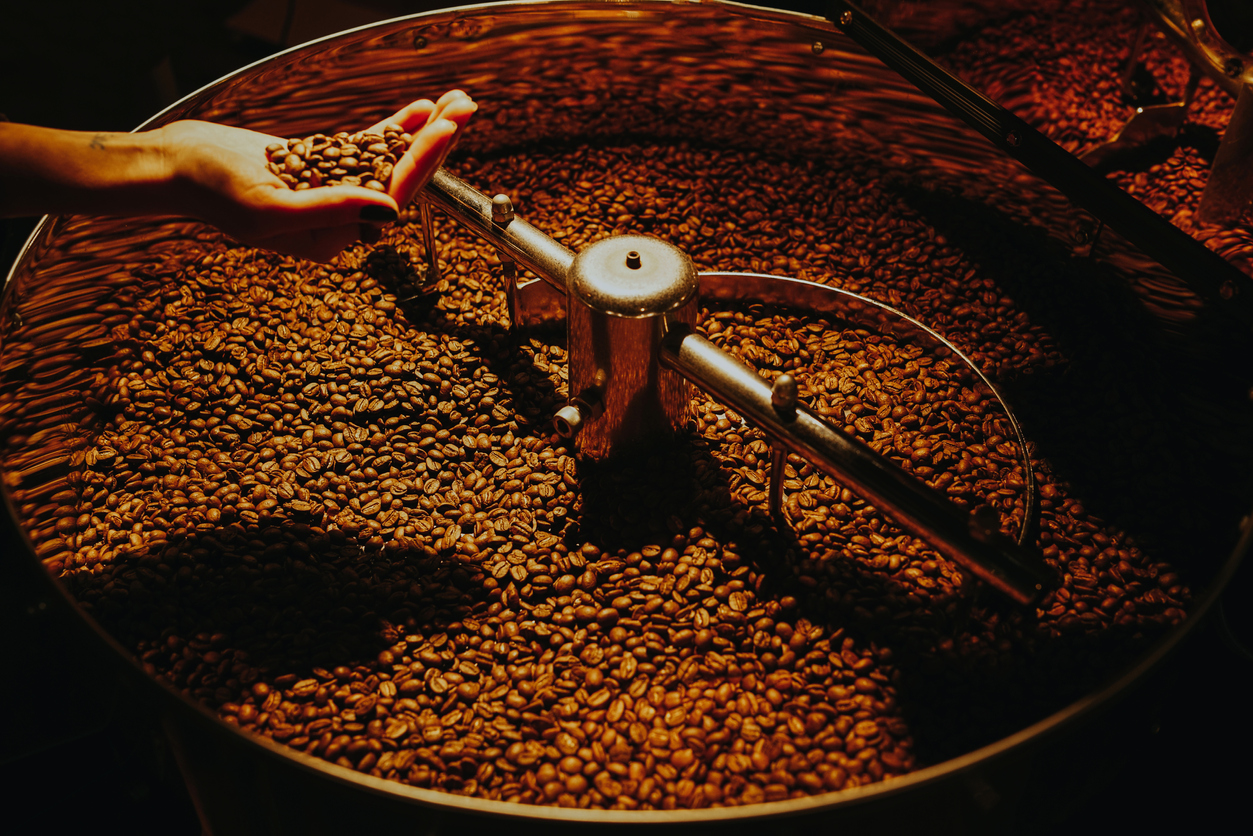 coffee roasting process, a hand holding roasted coffee beans