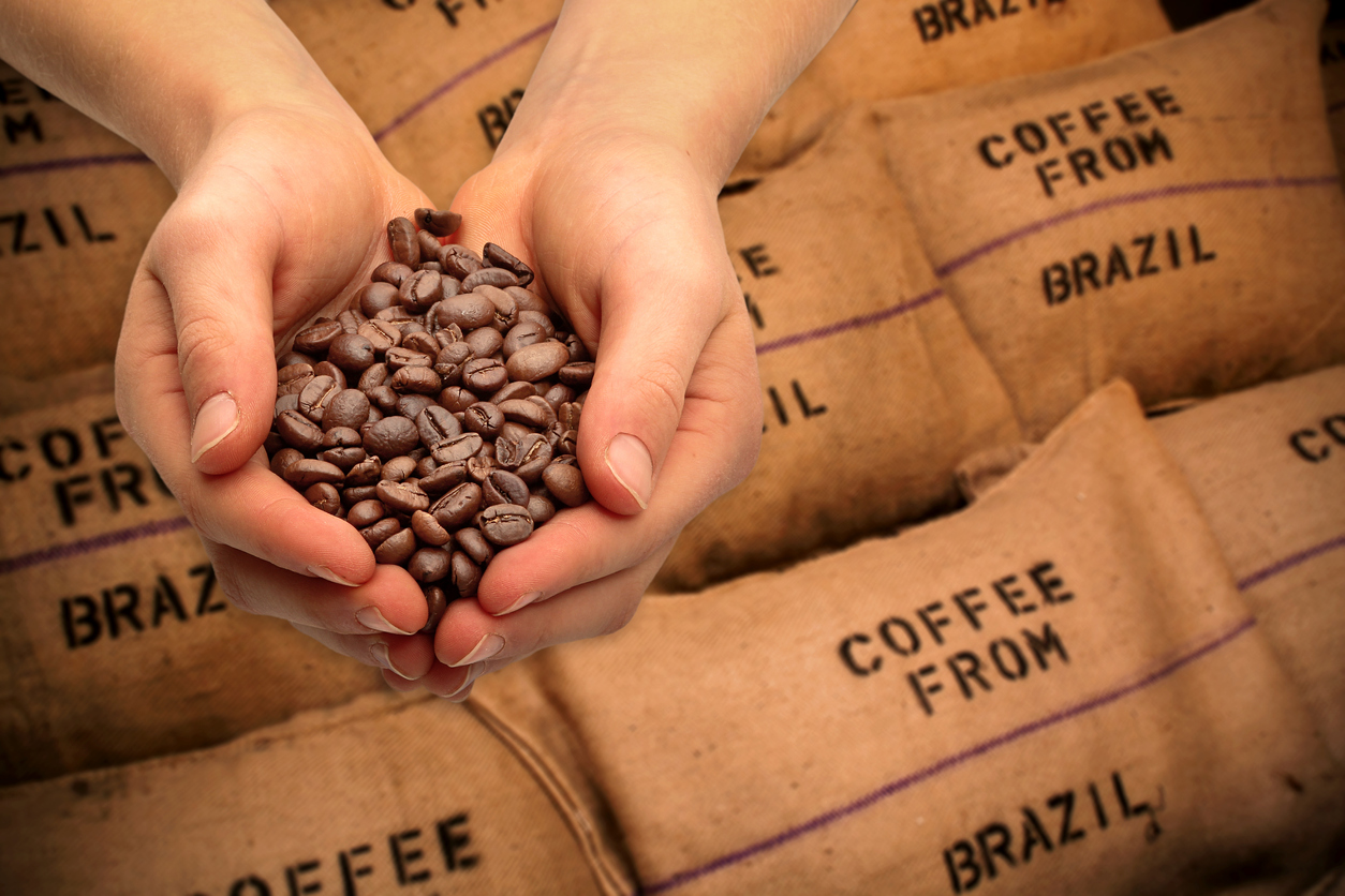 hands holding coffee beans, sacks of exported coffee from Brazil
