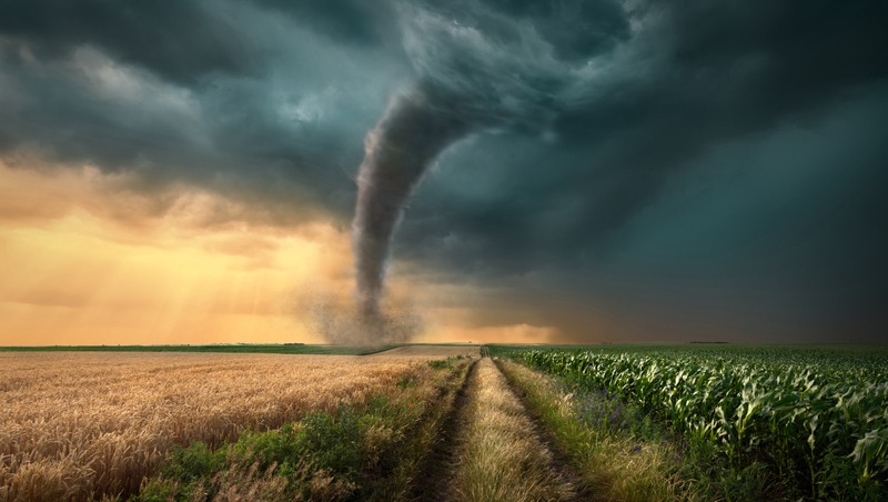 tornado on fields