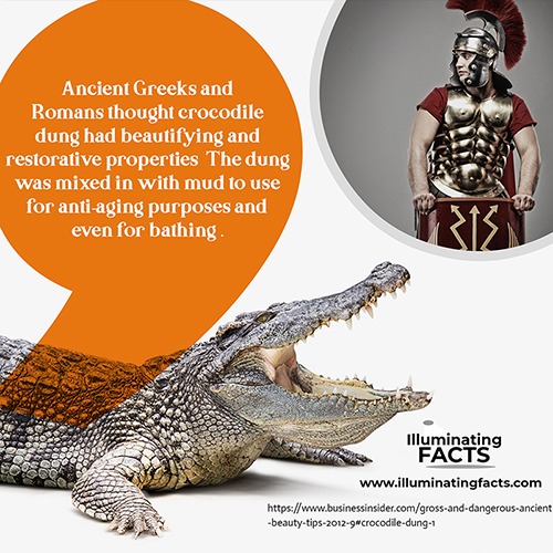 Ancient Greeks and Romans thought crocodile dung had beautifying and restorative properties
