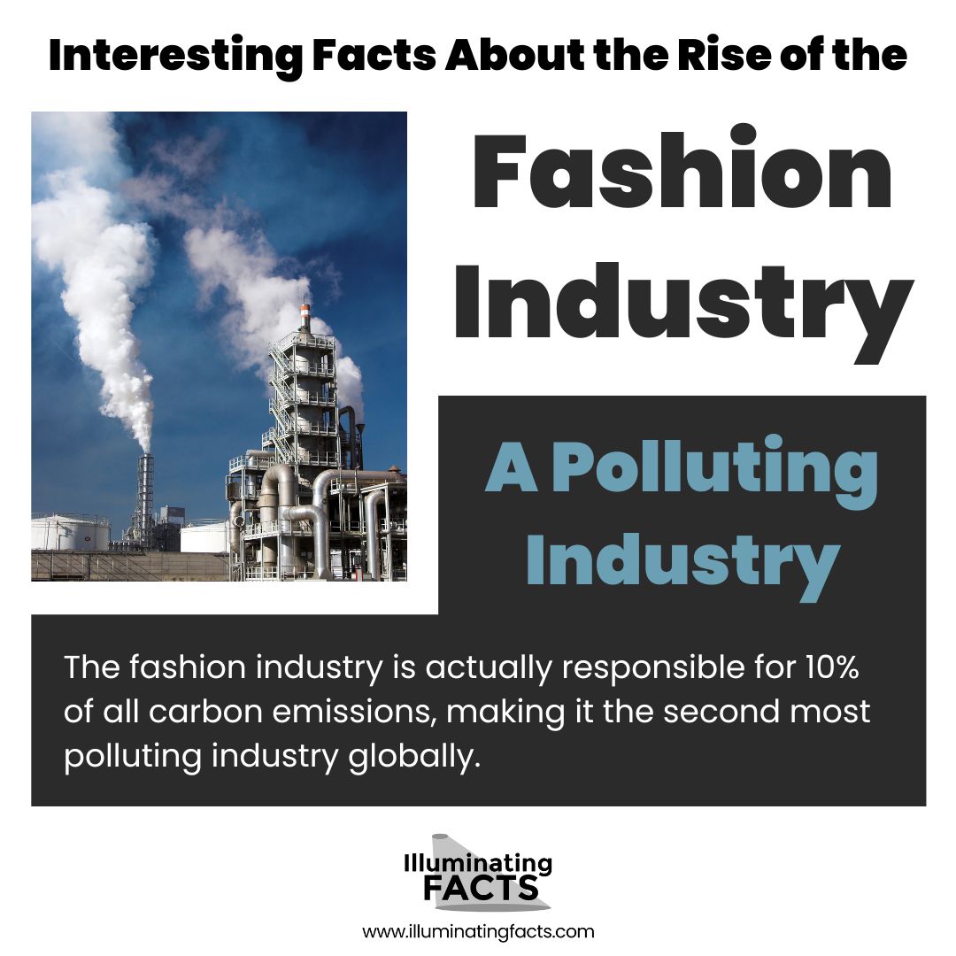 A Polluting Industry