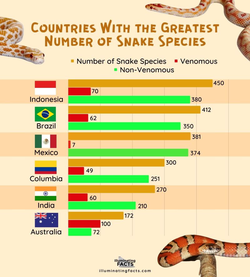 Country with the greatest number of snake species