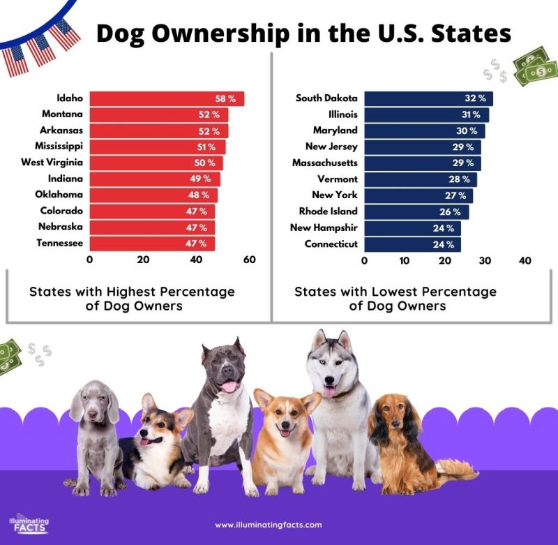 Dog Ownership in the U.S. States