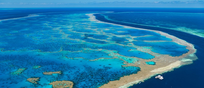 Great Barrier Reef. Queensland Australia