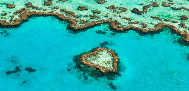 Heart Reef in Whitsundays, Queensland, Australia