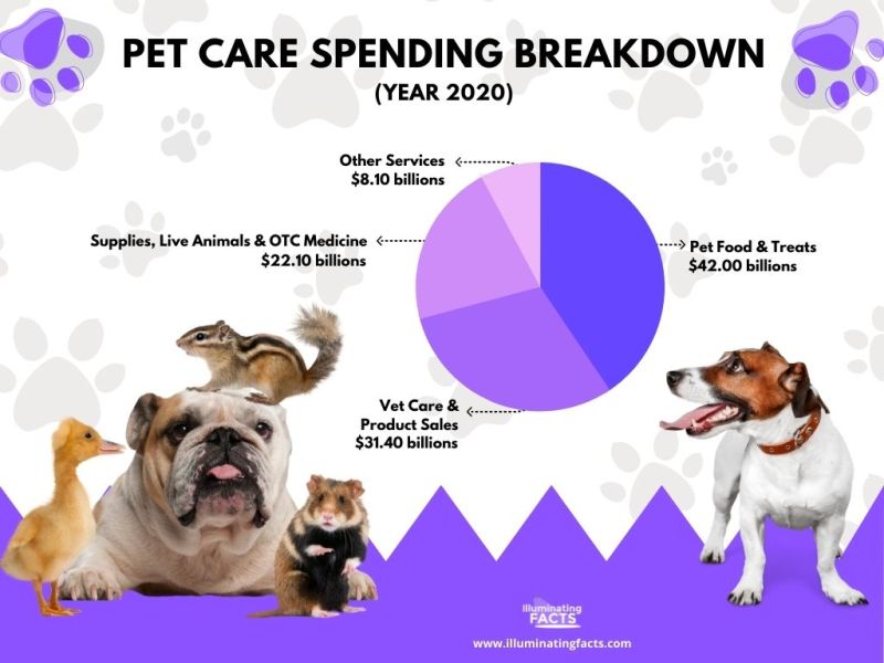 Pet Care Spending Breakdown