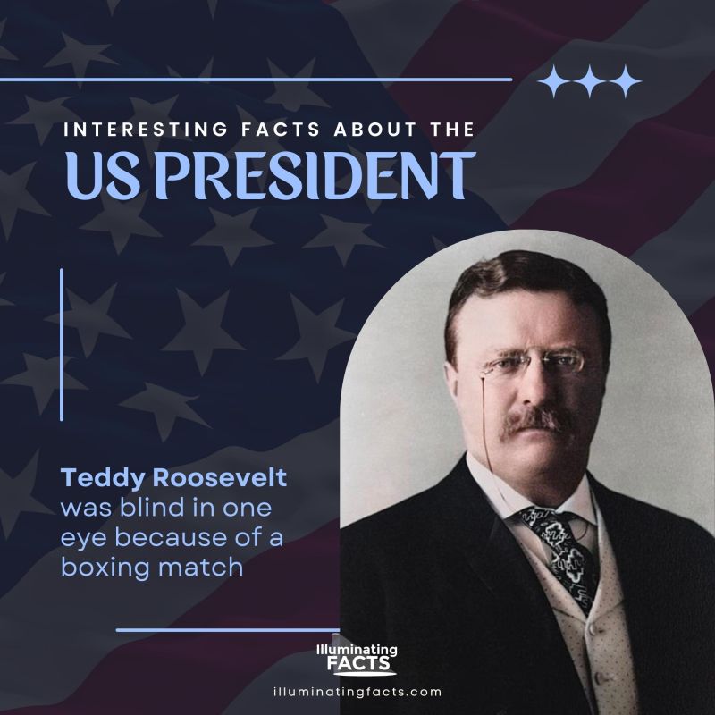 interesting facts about US presidents Teddy Roosevelt