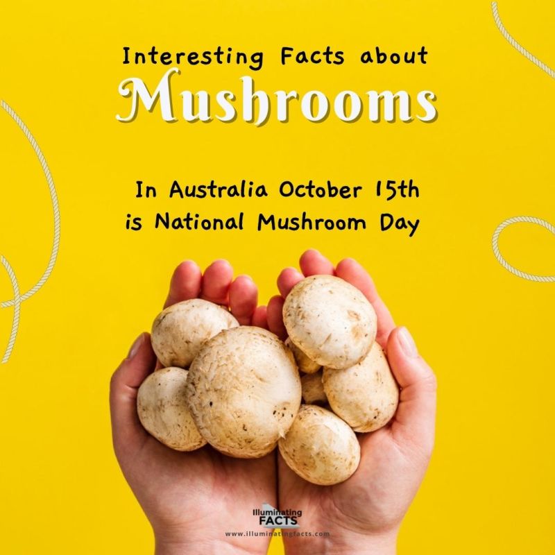 15th October is the National Mushroom Day 