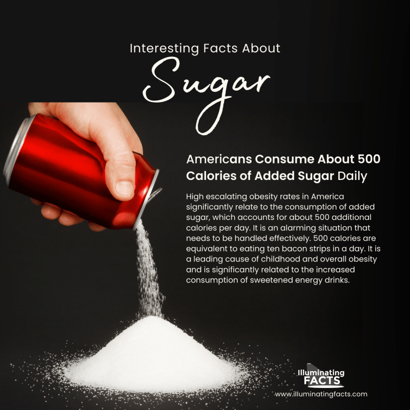 Americans Consume About 500 Calories of Added Sugar Daily 
