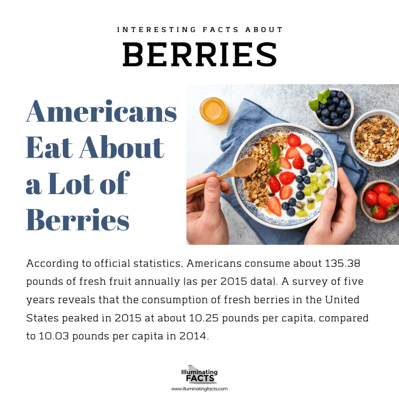 Americans Eat About a Lot of Berries