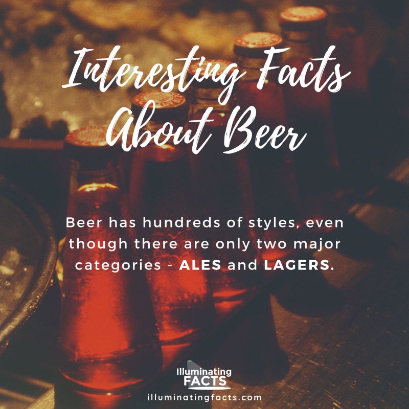 Beer has hundreds of styles, even though there are only two major categories