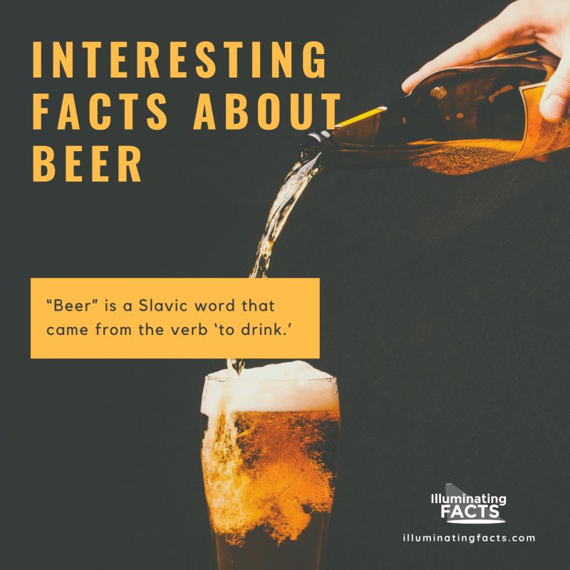“Beer” is a Slavic word that came from the verb ‘to drink.’