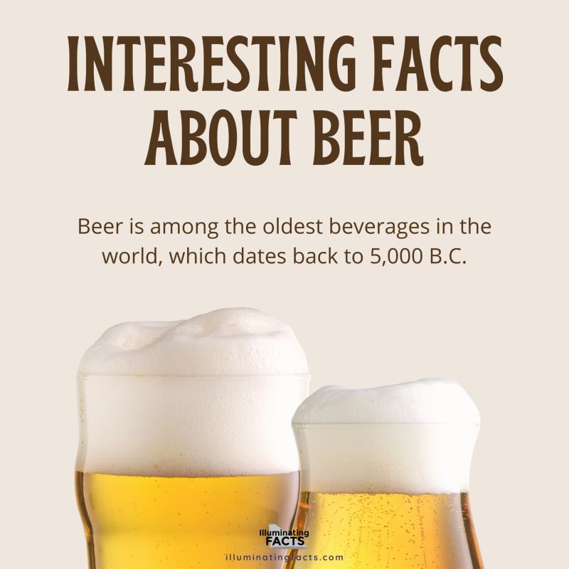 Beer is among the oldest beverages in the world, which dates back to 5,000 B.C.