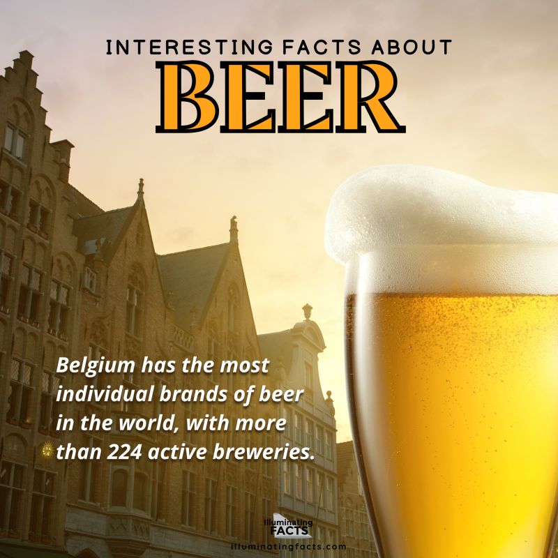 Belgium has the most individual brands of beer in the world, with more than 224 active breweries