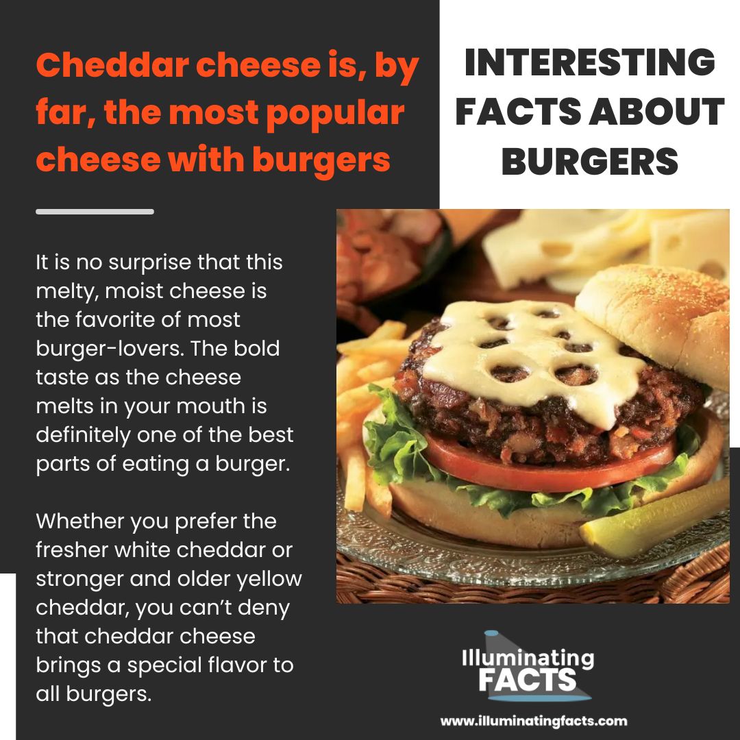 Cheddar cheese is, by far, the most popular cheese with burgers