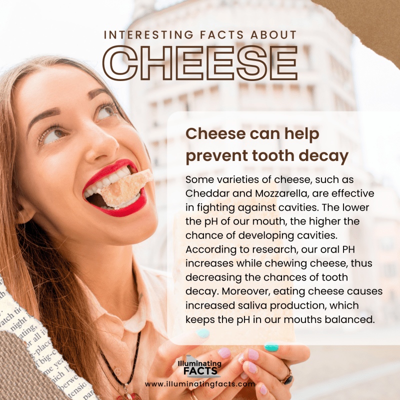 Cheese can help prevent tooth decay